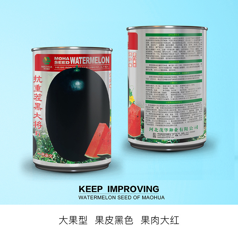 中科茂华蔬菜瓜果种子抗重茬黑大将黑皮大红瓤西瓜种子抗病