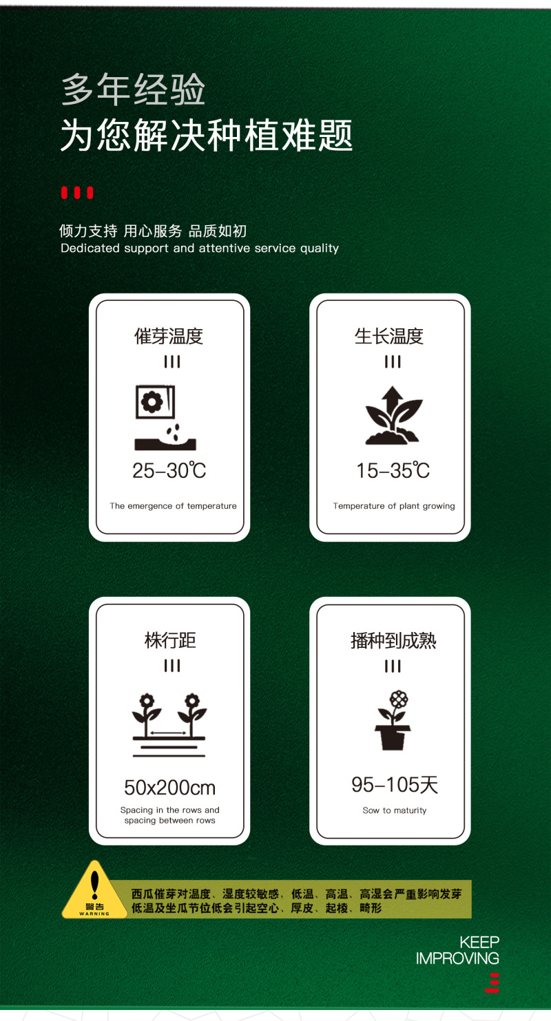 中科茂华蔬菜瓜果种子抗重茬黑大将黑皮大红瓤西瓜种子抗病