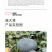 中科茂华蔬菜瓜果种子抗重茬黑大将黑皮大红瓤西瓜种子抗病