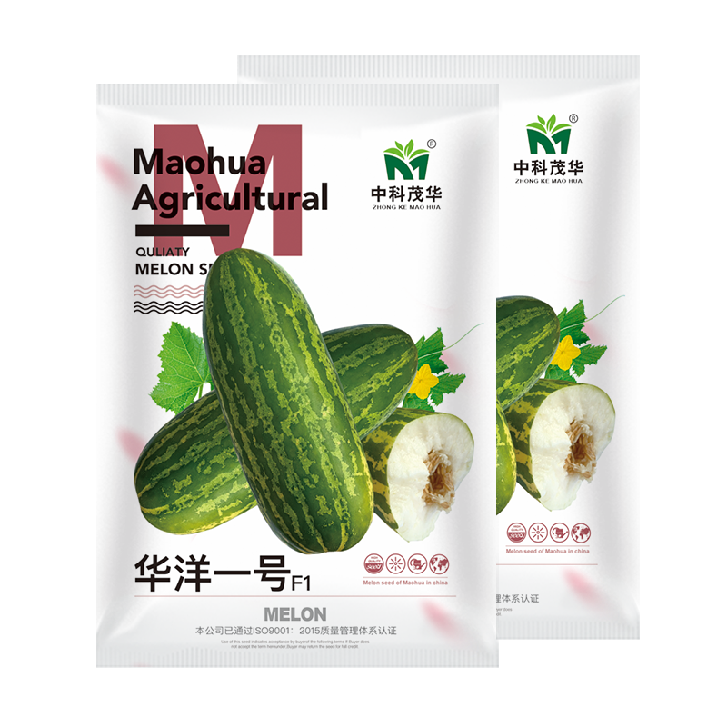 中科茂华水果种子华洋一号甜瓜种子果皮黄绿色果肉乳白细腻瓤