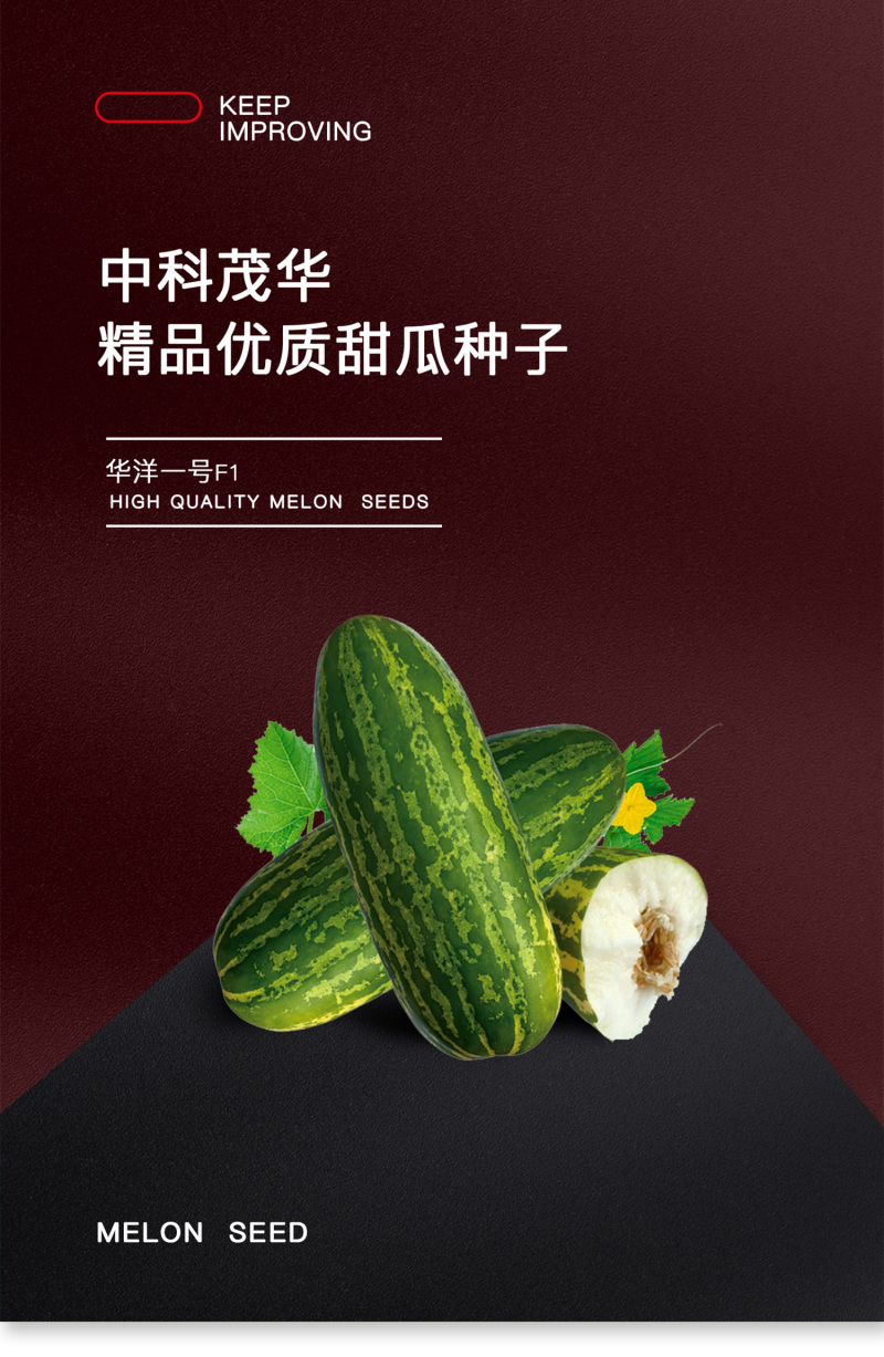 中科茂华水果种子华洋一号甜瓜种子果皮黄绿色果肉乳白细腻瓤