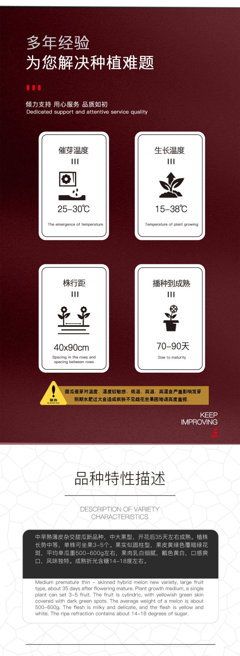 中科茂华水果种子华洋一号甜瓜种子果皮黄绿色果肉乳白细腻瓤
