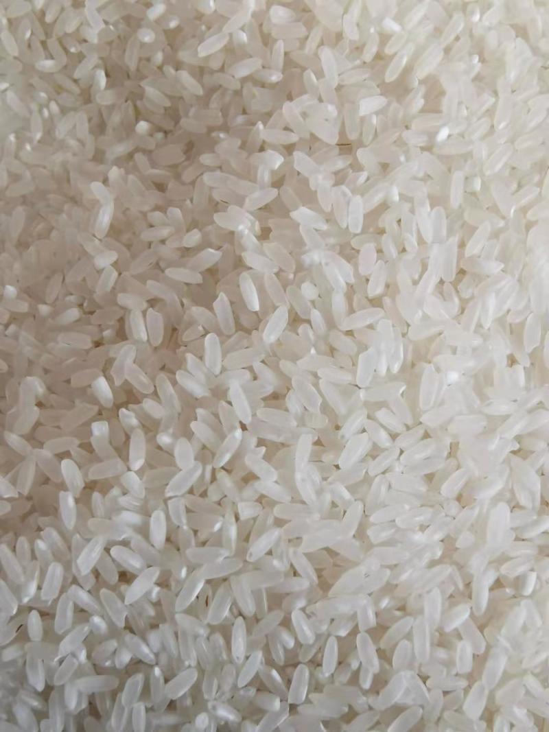 北方粮食农户自产自销五常稻花香大米量大从优