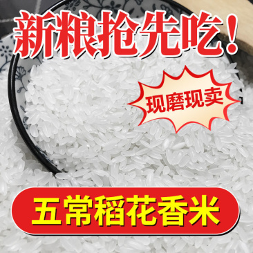 【优选推荐】礼盒装自产自销五常稻花香大米礼盒装**口味