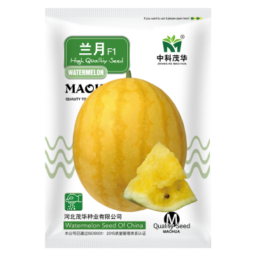 中科茂华瓜果种子兰月西瓜种子果型高圆果肉黄皮黄肉礼品西瓜