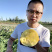 中科茂华瓜果种子兰月西瓜种子果型高圆果肉黄皮黄肉礼品西瓜