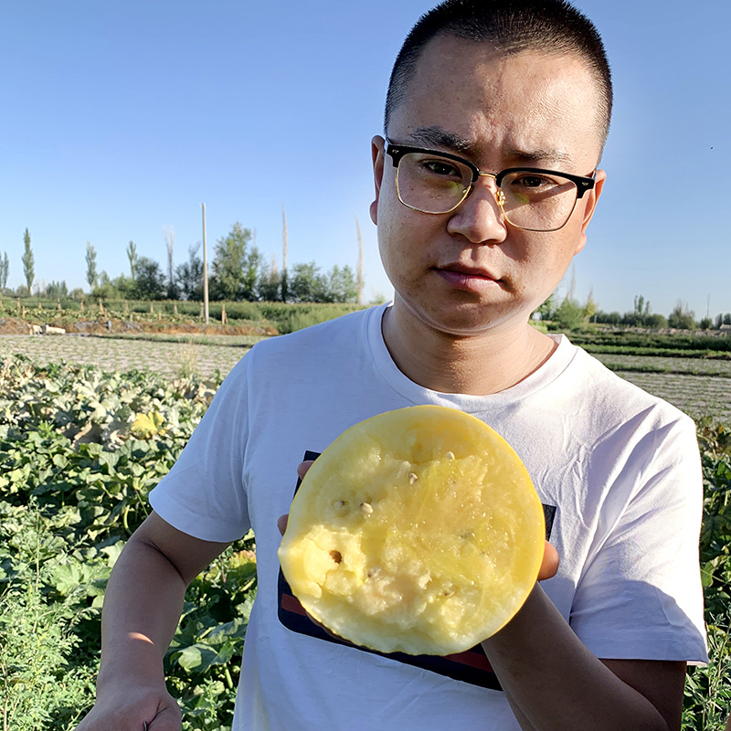 中科茂华瓜果种子兰月西瓜种子果型高圆果肉黄皮黄肉礼品西瓜