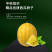 中科茂华瓜果种子兰月西瓜种子果型高圆果肉黄皮黄肉礼品西瓜