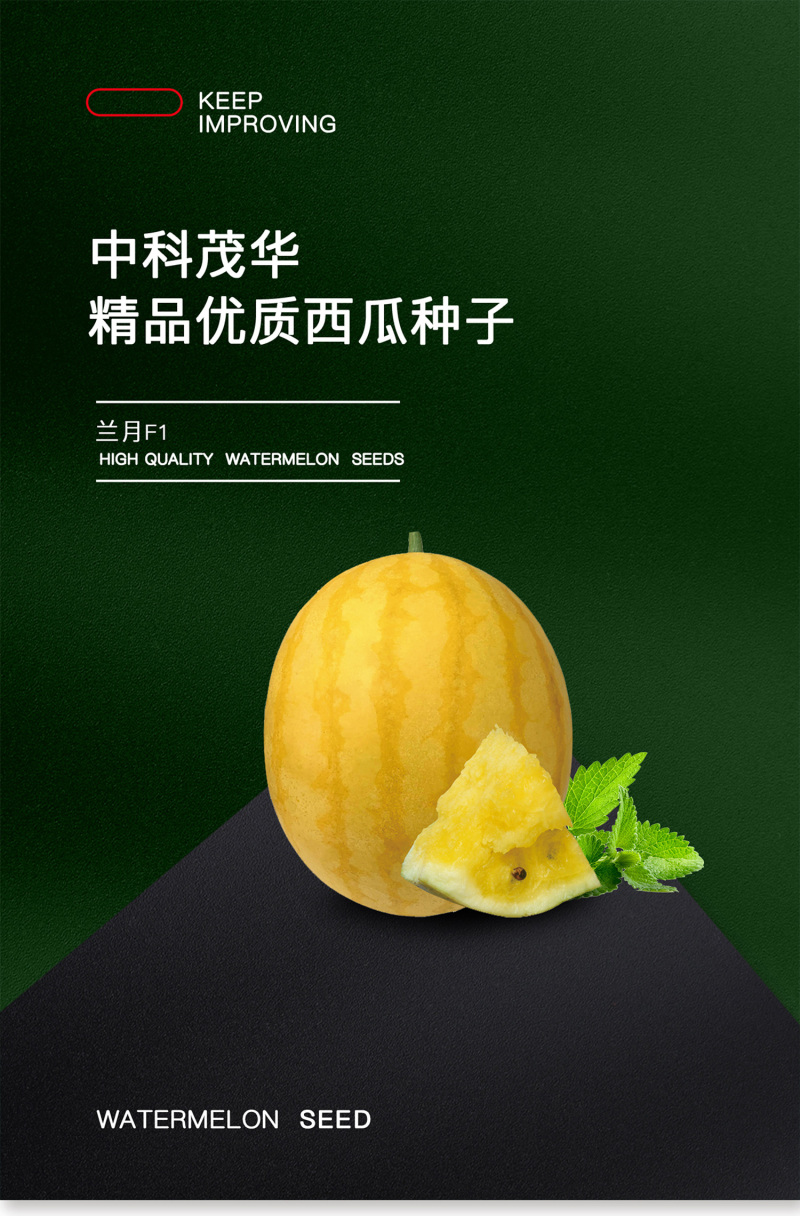 中科茂华瓜果种子兰月西瓜种子果型高圆果肉黄皮黄肉礼品西瓜