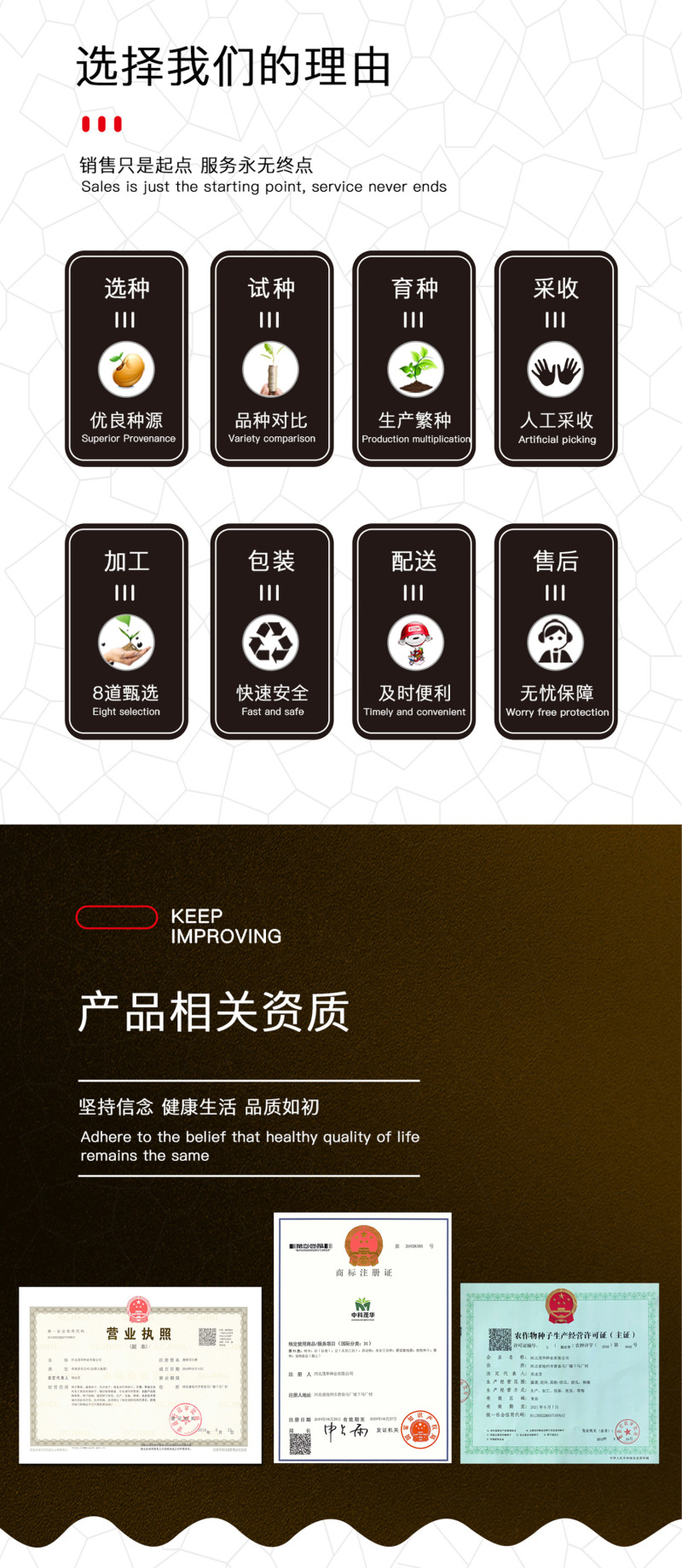 中科茂华蔬菜瓜果种子懒汉神龙西瓜种子大果免整枝抗重茬