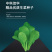 中科茂华蔬菜种子K20小白菜种子无绒毛青梗小白菜种子绿叶