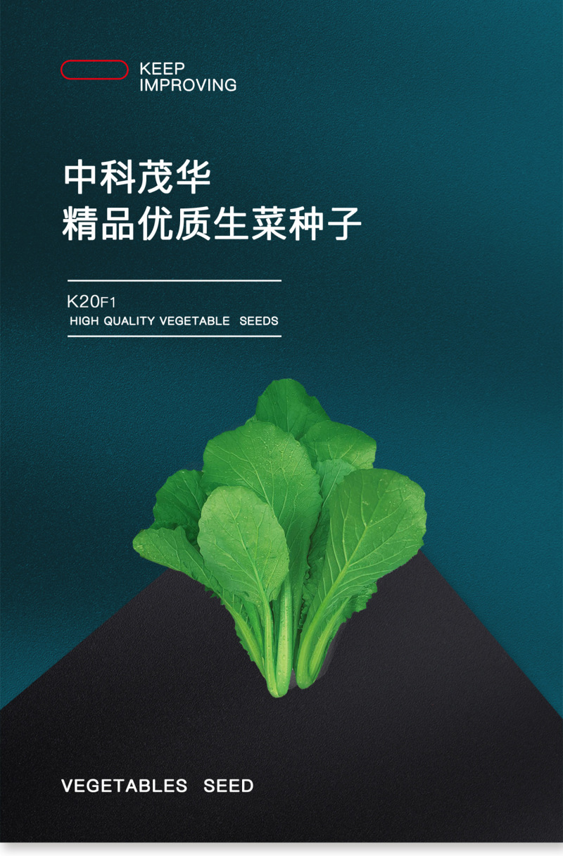 中科茂华蔬菜种子K20小白菜种子无绒毛青梗小白菜种子绿叶