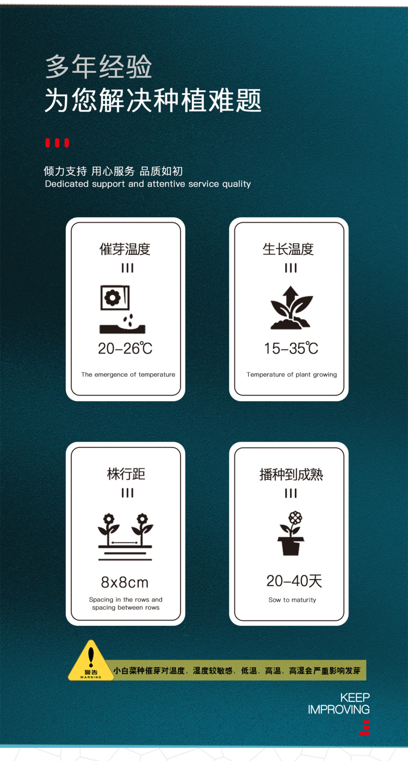 中科茂华蔬菜种子K20小白菜种子无绒毛青梗小白菜种子绿叶