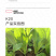 中科茂华蔬菜种子K20小白菜种子无绒毛青梗小白菜种子绿叶