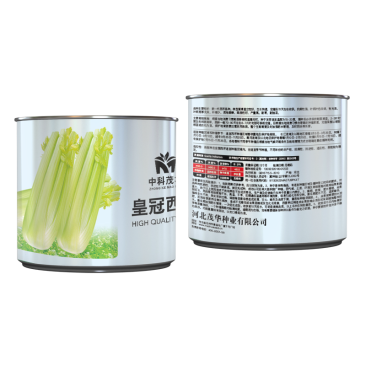 中科茂华蔬菜种子皇冠西芹菜种子不空心芹菜种子黄绿色产量高