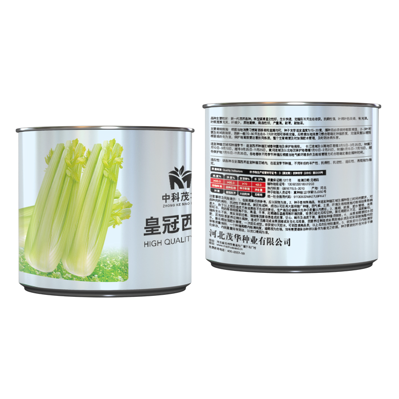 中科茂华蔬菜种子皇冠西芹菜种子不空心芹菜种子黄绿色产量高