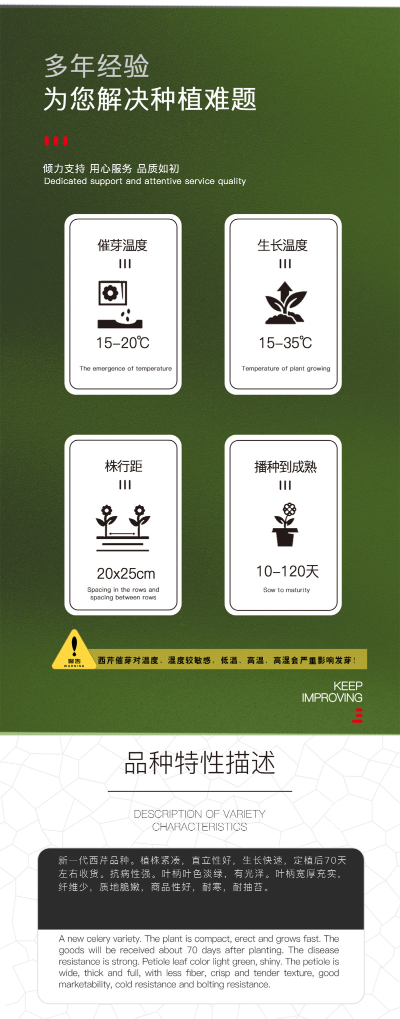 中科茂华蔬菜种子皇冠西芹菜种子不空心芹菜种子黄绿色产量高