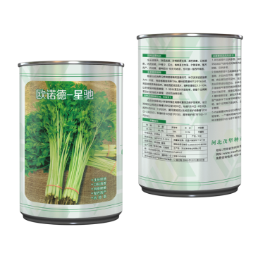 中科茂华蔬菜西芹小香芹种子欧诺德星驰生长快速不空心基地
