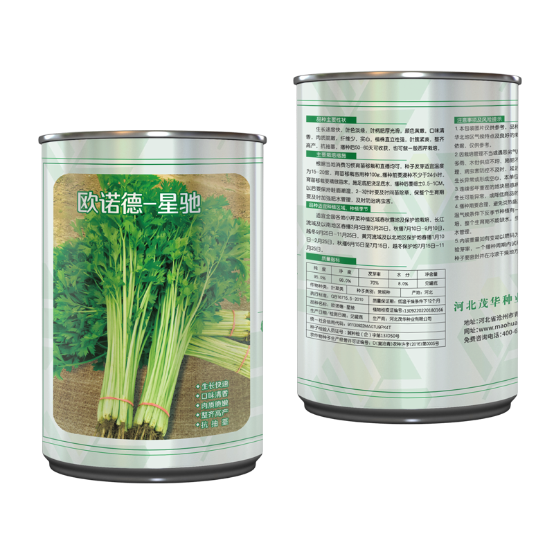 中科茂华蔬菜西芹小香芹种子欧诺德星驰生长快速不空心基地