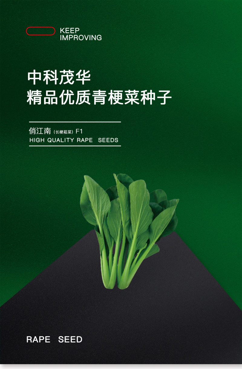中科茂华蔬菜种子俏江南杂交油菜种子品质好无纤维耐寒