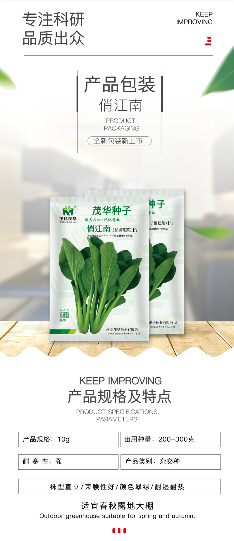 中科茂华蔬菜种子俏江南杂交油菜种子品质好无纤维耐寒