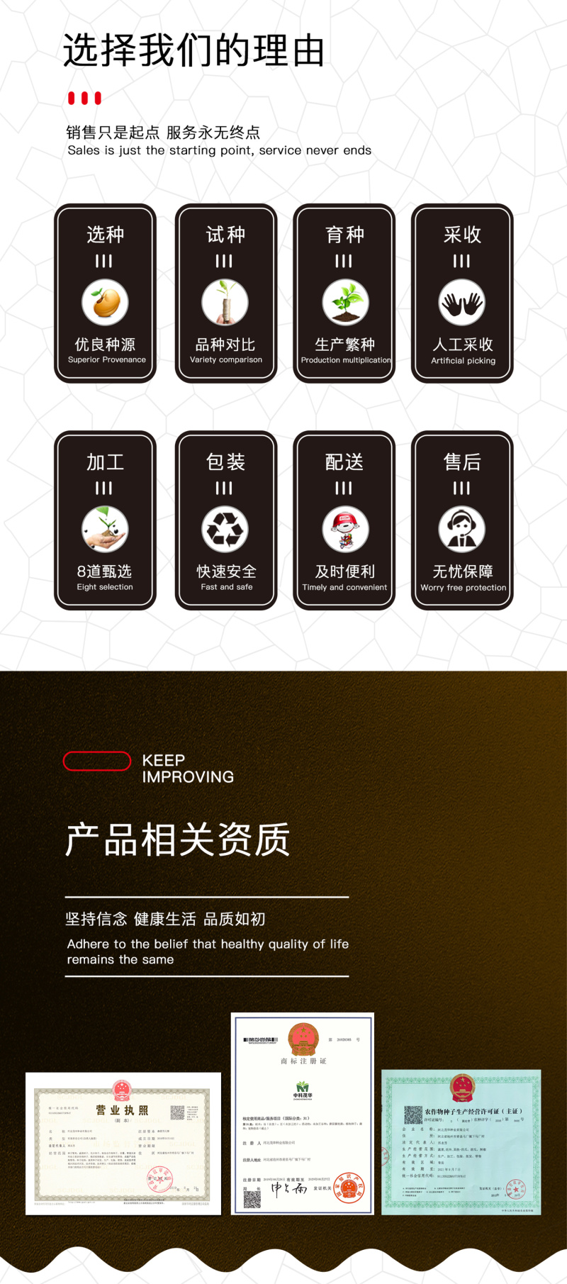 中科茂华蔬菜种子俏江南杂交油菜种子品质好无纤维耐寒