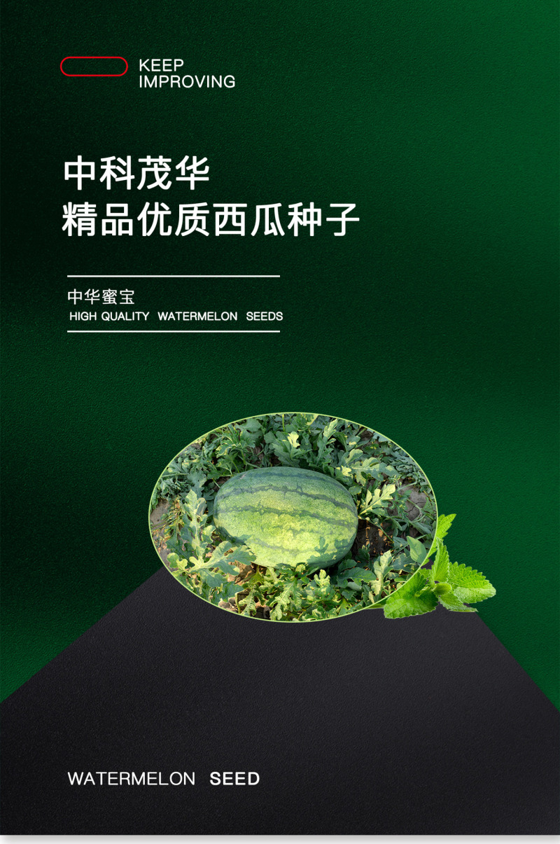 中科茂华西瓜种子中华蜜宝免整枝打叉懒汉西瓜种籽四季阳台