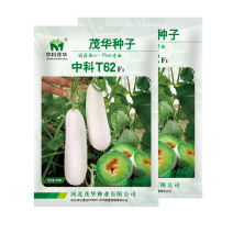 中科茂华瓜果种子中科T62甜瓜种子果实长棒型皮色灰白果肉
