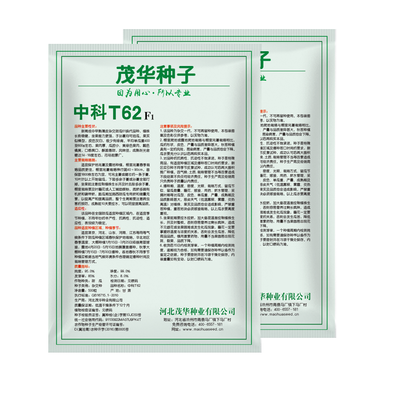 中科茂华瓜果种子中科T62甜瓜种子果实长棒型皮色灰白果肉