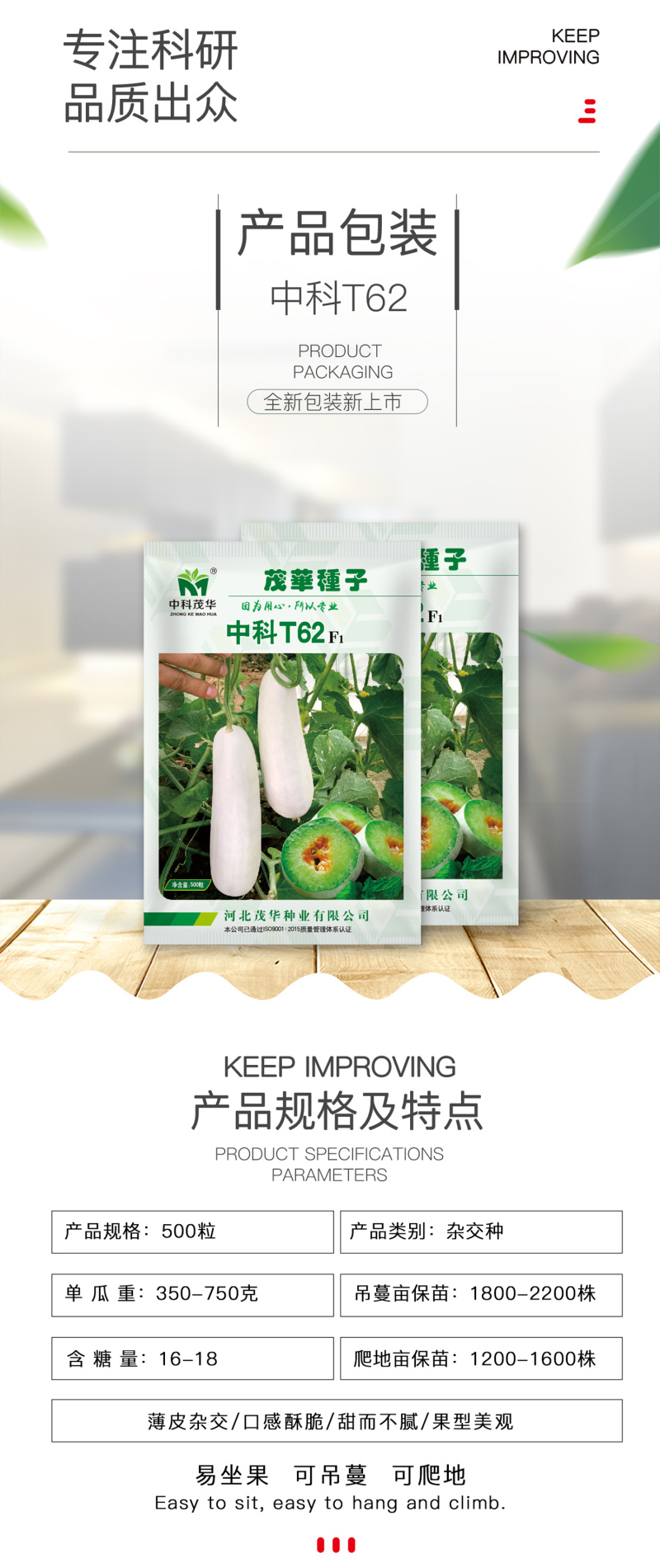 中科茂华瓜果种子中科T62甜瓜种子果实长棒型皮色灰白果肉