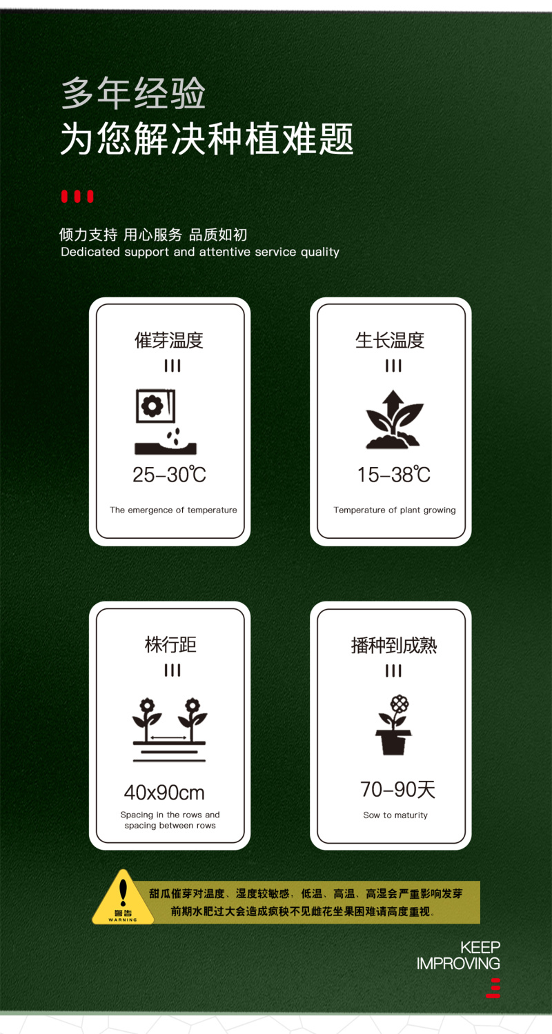 中科茂华瓜果种子中科T62甜瓜种子果实长棒型皮色灰白果肉