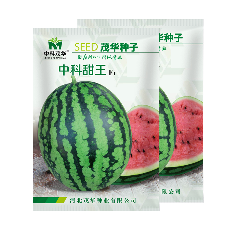 中科茂华瓜果蔬菜种子中科甜王西瓜种子大红瓤耐水脱高密度