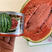 中科茂华瓜果蔬菜种子中科甜王西瓜种子大红瓤耐水脱高密度