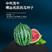 中科茂华瓜果蔬菜种子中科甜王西瓜种子大红瓤耐水脱高密度