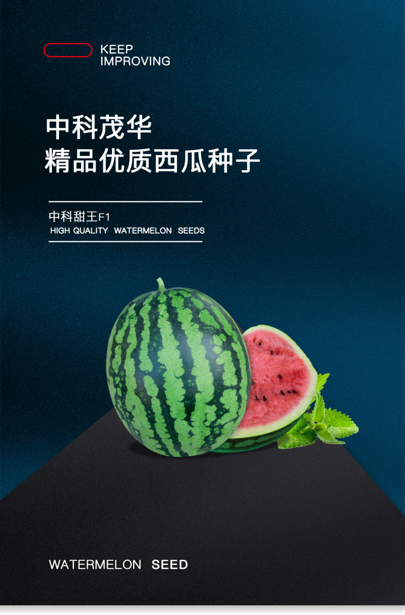 中科茂华瓜果蔬菜种子中科甜王西瓜种子大红瓤耐水脱高密度