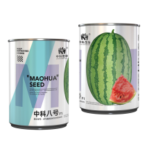 中科茂华西瓜种子中科八号懒汉正宗西农八号西北农大科研大果
