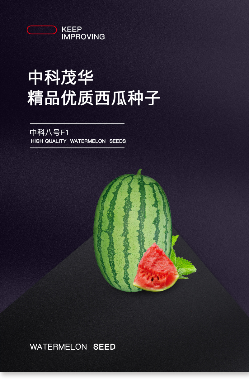 中科茂华西瓜种子中科八号懒汉正宗西农八号西北农大科研大果