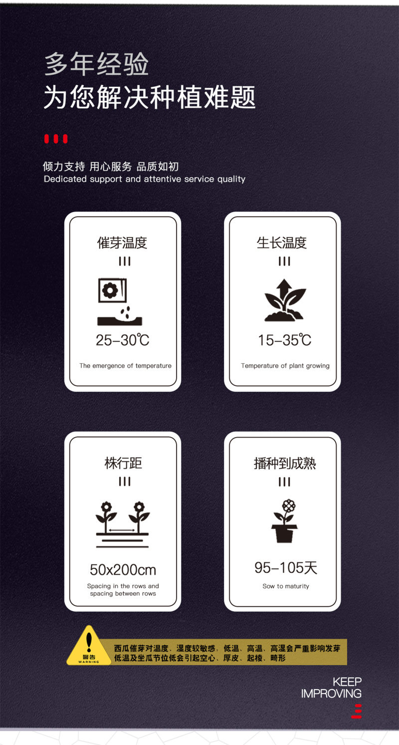 中科茂华西瓜种子中科八号懒汉正宗西农八号西北农大科研大果