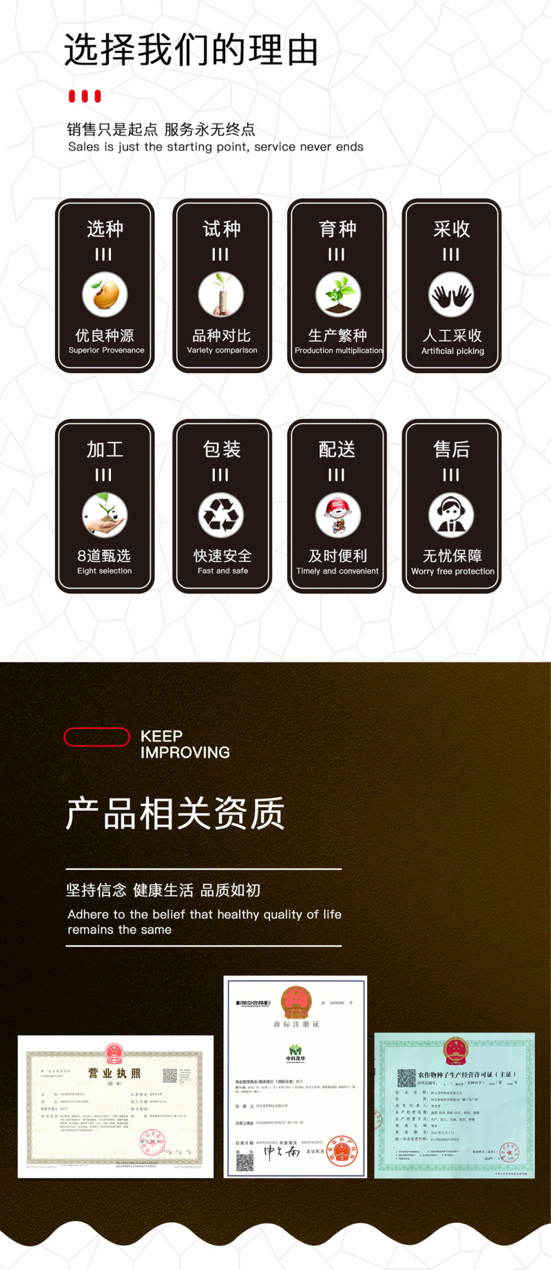 中科茂华西瓜种子中科八号懒汉正宗西农八号西北农大科研大果