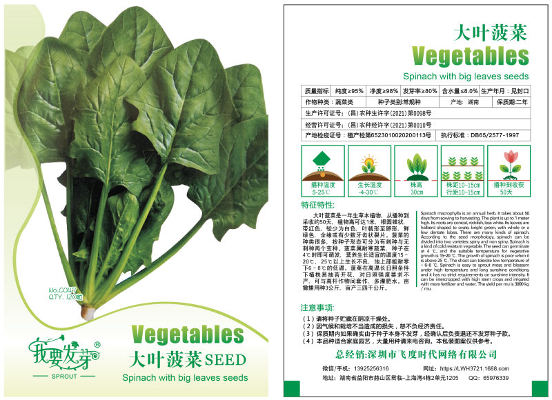 大叶肥叶圆叶菠菜种子波斯菜赤红根菜鹦鹉菜菠耸