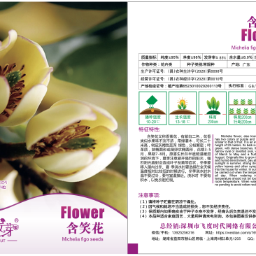 含笑花种子深山含笑种子红花含笑树种籽山节子白兰花