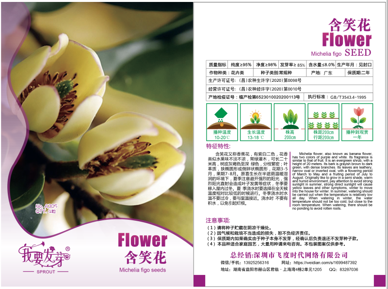 含笑花种子深山含笑种子红花含笑树种籽山节子白兰花