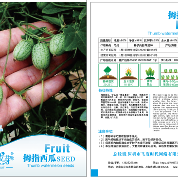拇指西瓜粗糙马交儿佩普基诺老鼠瓜墨西哥酸黄瓜