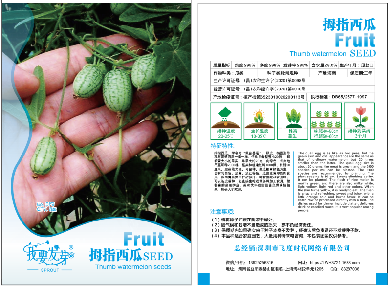 拇指西瓜粗糙马交儿佩普基诺老鼠瓜墨西哥酸黄瓜