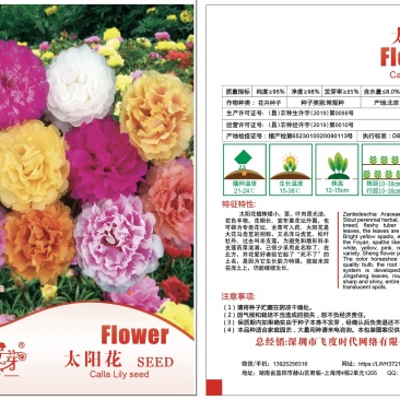太阳花种子半支莲,松叶牡丹龙须牡丹洋马齿苋、午时花