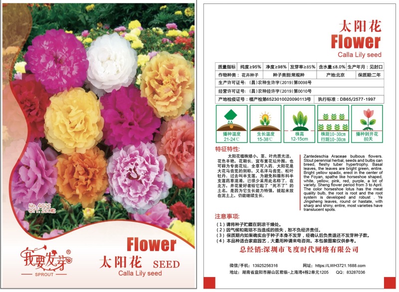 太阳花种子半支莲，松叶牡丹龙须牡丹洋马齿苋、午时花