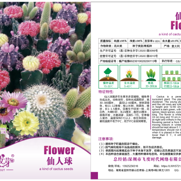 仙人球种子草球长盛球仙人掌短毛丸珍珠戟旺盛球