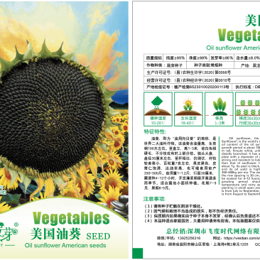 美国油葵种子葵花籽榨油向日葵籽小皮黑色皮薄产量高