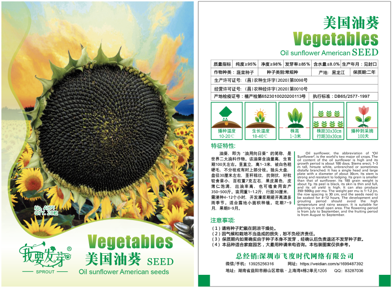 美国油葵种子葵花籽榨油向日葵籽小皮黑色皮薄产量高