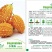 我要发芽蔬菜种子小濑瓜种子癞葡萄金铃子山苦瓜